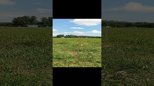 1000011444.mp4