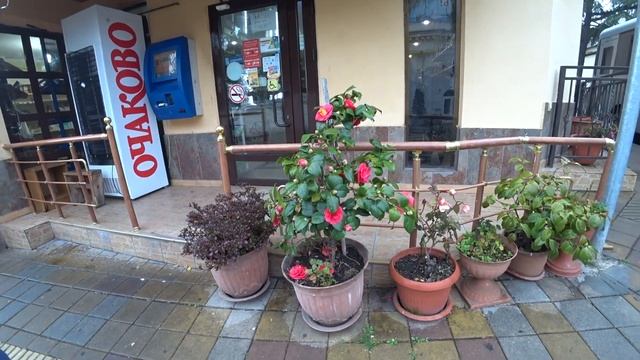 В Сочи/На пляже АЛЬБАТРОС/Магазины курорта/Получила OZON/Мой заказ/Доска для плавания/Суши MYBOX смотреть онлайн