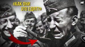 НЕМЕЦКИЕ ПЛЕННЫЕ отказывались ЭТО есть | Что не так с гречневой кашей и окрошкой?