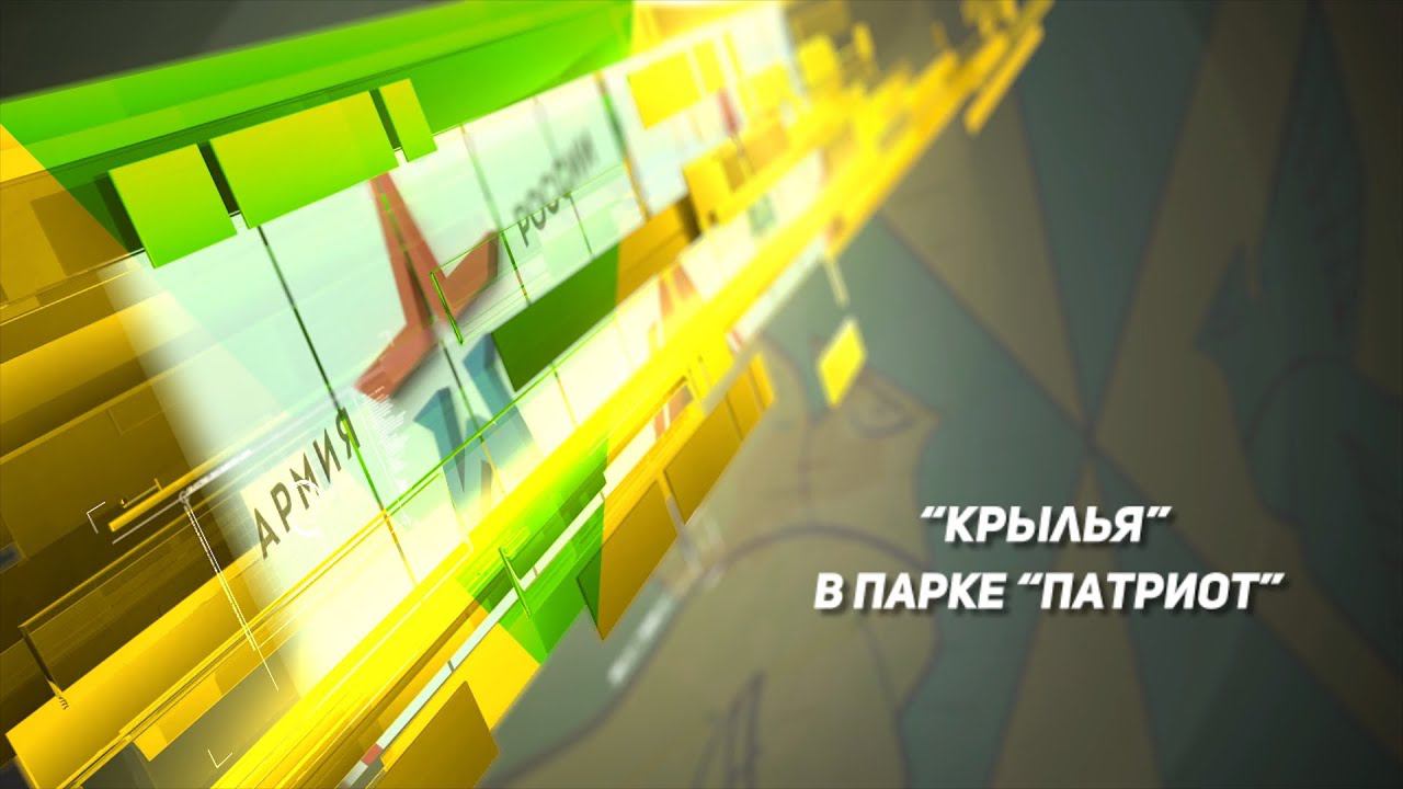Крылья в парке "Патриот"