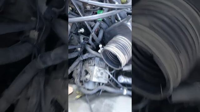 2000 Toyota Avalon 3.0 como sacar el termostato