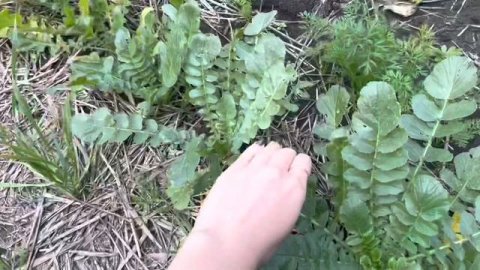 ВЛОГ! РЕЦЕПТ БАНАНОВЫХ КЕКСОВ?ПОМЕНЯЛИ ДВЕРИ?ВЫБИРАЕМ ДИВАН? 12 ноября 2022 г. VLOGS