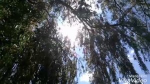 Молитва Пресвятой Пречистой Богородице на греческом.