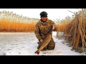 Жерлицы. Рыбалка на щуку. Зимняя разведка по щучьим местам. Оставил жерлицы на ночь.