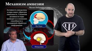Психотерапия #30. Мозг и психологическая травма. Физиология вытесненной психотравмы