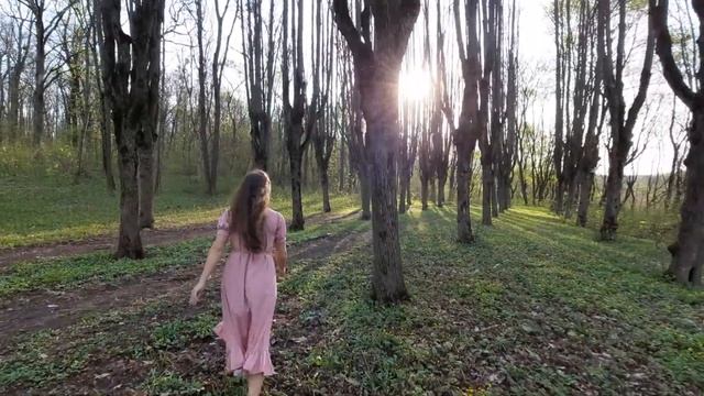 Шаровский замок (дворец) в Харьковской области, Украина