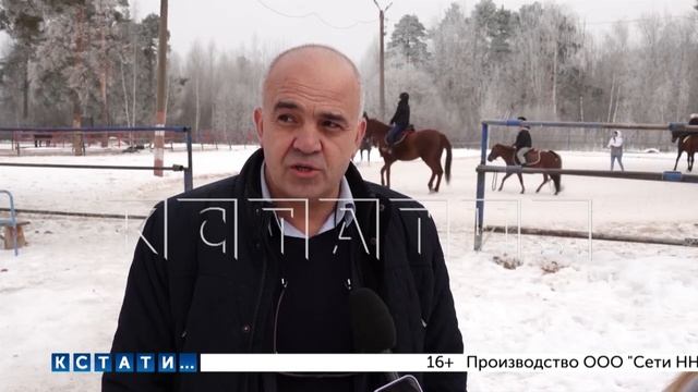 Центр для занятия иппотерапией появится в Нижнем Новгороде смотреть онлайн