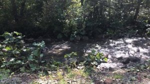 Путешествие на скалу Калим Ускан, пещеру Салавата, водопад Кук-караук, реку Зиган