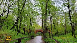 Прогулка под дождём в лесу. Нескучный сад. Москва