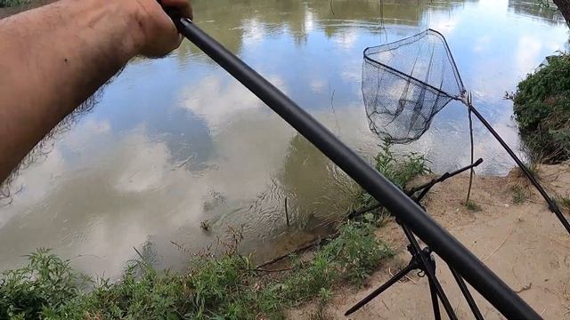 Рыбалка на Кубани в глуши ( где даже птицы не летают) Ч 1 . смотреть онлайн