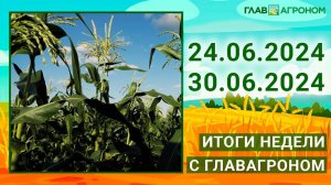 Итоги недели с ГлавАгроном. 24.06.2024 - 30.06.2024