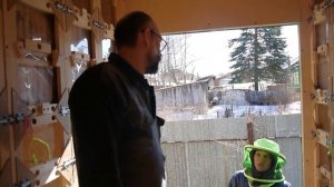 Павильонное содержание пчелиных семей. Опыт Костромского пчеловода