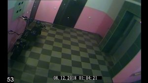 Попытка угона Caigiees harley electric scooter