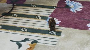 Щелкунчик, бусина для темляка