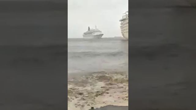 Longer video of Albatros beaching. смотреть онлайн