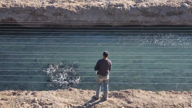 продаётся форель на горной речке , мясо красное, средний вес 1кг цена 450сом за 1кг смотреть онлайн