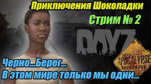 DayZ Apocalypse.Стрим №2. Приключения Шоколадки в Черноруси #bulldezeerdayz