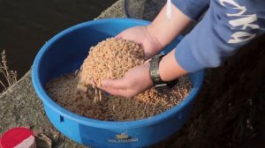 Рыбалка на Фидер в Воскресенске на Москве реке