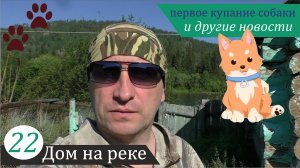 Первое купание собаки, сода vs. муравьи - начало эксперимента и другое... Дом на реке, часть 22