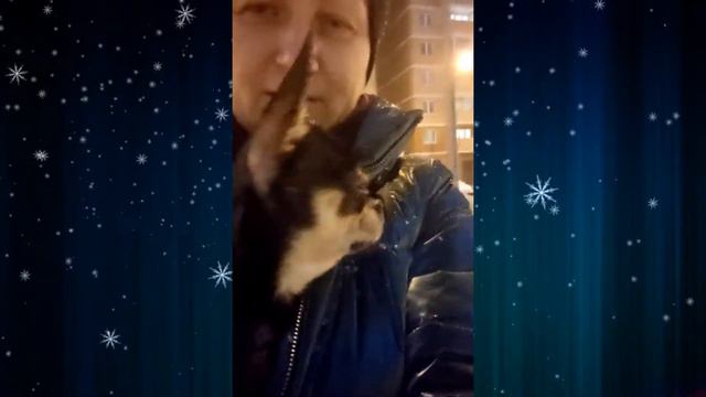 офигевший чихуахуа Микки и его первый снег в жизни)) смотреть онлайн