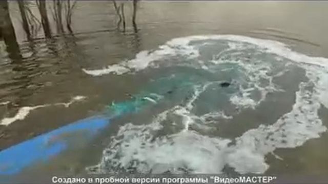 Зарыбление пруда " рыбное место" смотреть онлайн