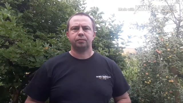 Прогноз на матчи ЧМ БРАЗИЛИЯ 2-0 МЕКСИКА.БЕЛЬГИЯ 3-2 ЯПОНИЯ смотреть онлайн