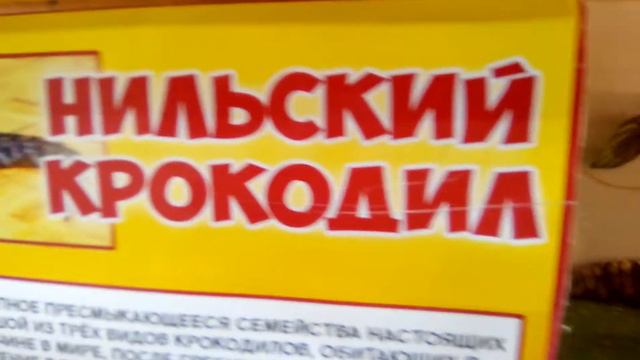 Зоопарк у меня в городе.2 смотреть онлайн
