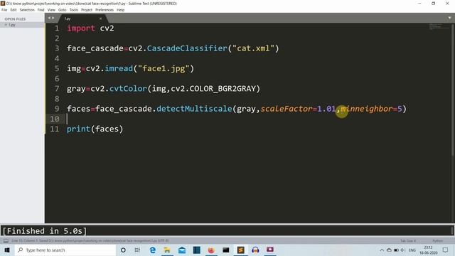 Cat Face recognition using python