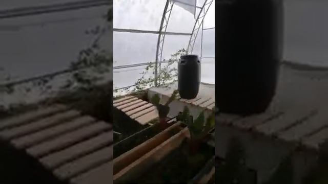 БиоДом. Взгляд от первого лица. смотреть онлайн