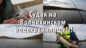 Судак на Волчихинском водохранилище 25.09.2021/Тест поролона от Андрея Питерцова