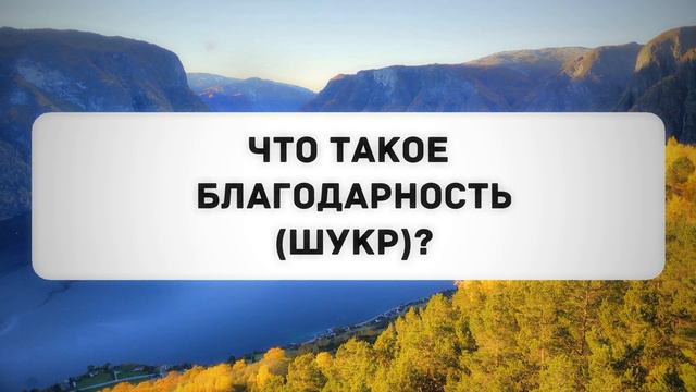 Что такое благодарность (шукр)? | Абу Яхья Крымский смотреть онлайн