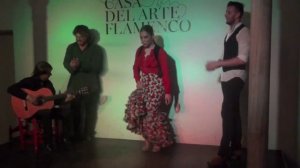 Flamenco in Granada