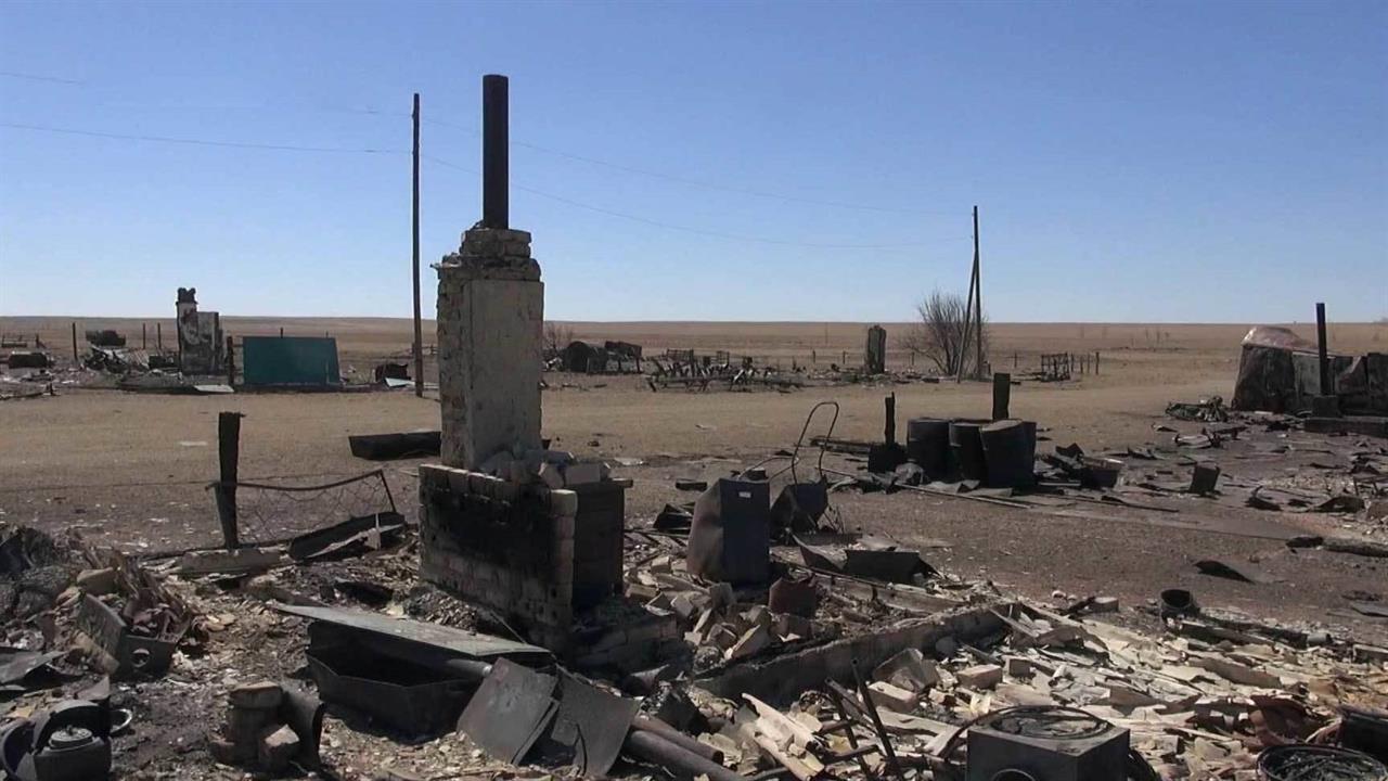 Площадь природных пожаров в стране продолжает расти
