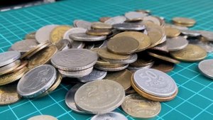 Пано из монет