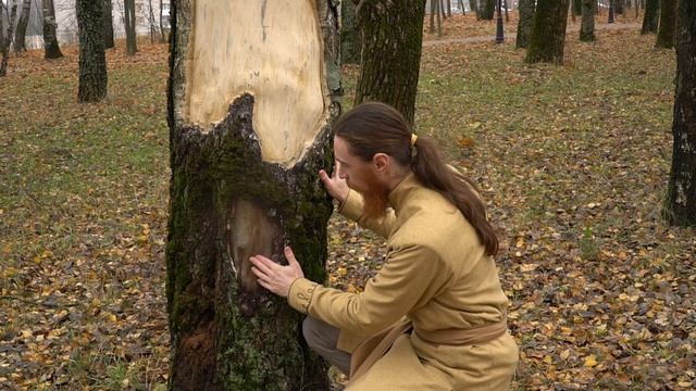 Художница украсила деревья в Соловьиной Роще рисунками