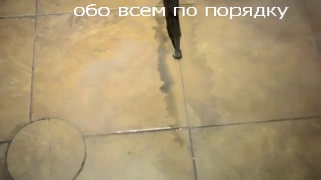 Очитска плитки на полу и плиточных швов при помощи отпаривателя. Как очистить плитку и плиточные швы