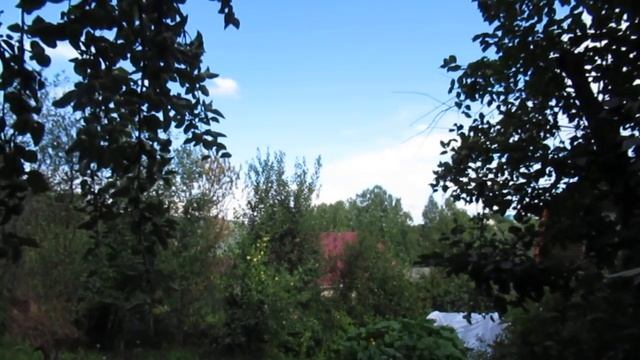 Мне снился сон... смотреть онлайн