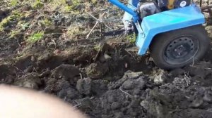 Осенняя вспашка плугом . Мотоблок Нева МБ 2