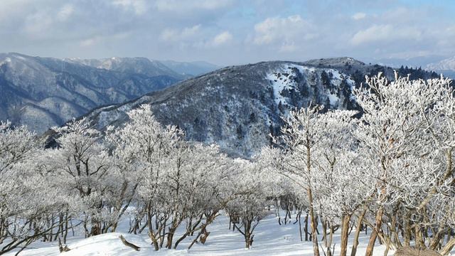 Ocean deeplyrics cliff richard lyrics song music country lyricvideo