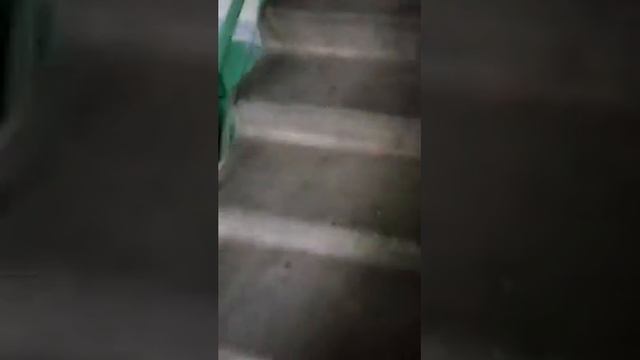 Прокладка кабеля для СКУД контроль доступа смотреть онлайн