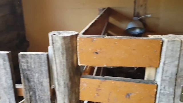 Лучший отдых это смена деятельности. Теперь рожать на хуторе может любое наше животное .Ясли в сара смотреть онлайн