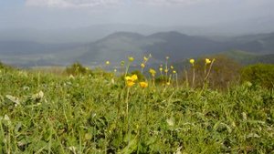 Отдых в Адыгее. Лучшие турбазы