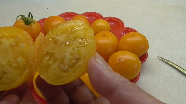 ТОМАТ ЛИМОНЧИКИ . ДЕГУСТАЦИЯ . Ольга Чернова. смотреть онлайн