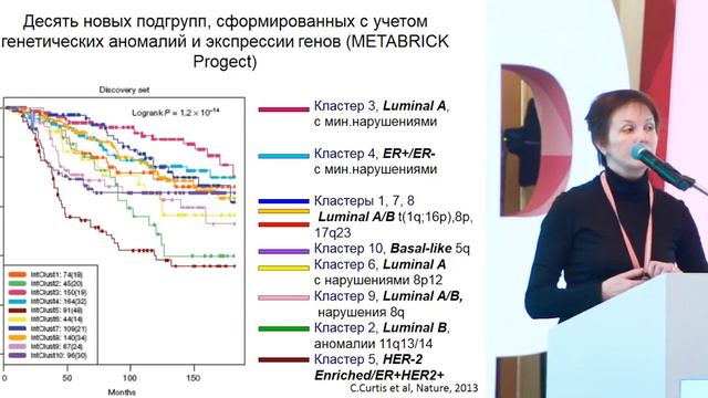 Молекулярно-генетическая гетерогенность РМЖ. Возможна ли классификация на подтипы?