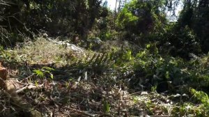 Боливия страна возможностей?