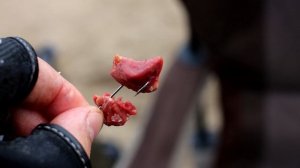 ТРОФЕЙНЫЙ голавль на куриную печень и раковую шейку. Ловля осенью на донку. Как, где, когда?!