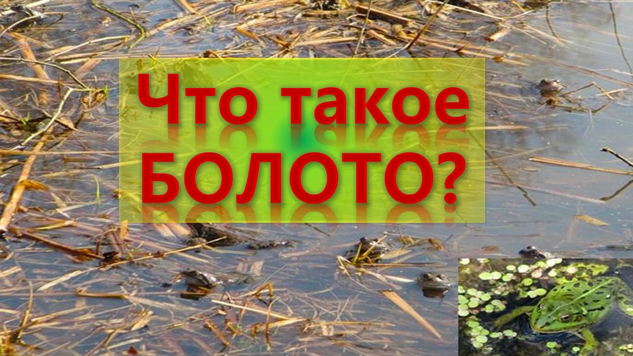 Его добывают на болотах окружающий. Надо ли охранять болота 3 класс. Охроняем болото. Болото и его обитатели 3 класс. Значение болот в природе и жизни человека.