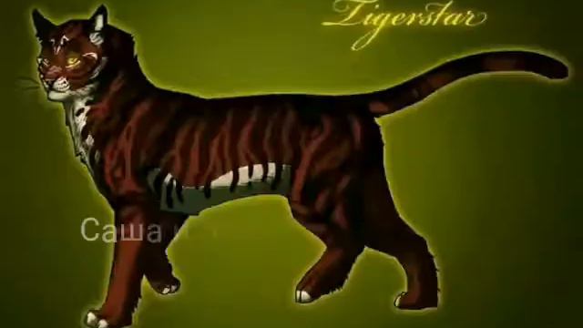 Коты-воители факты о Звездоцапе. смотреть онлайн