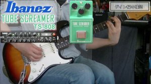 Ibanez TUBE SCREAMER Overdrive Pro TS-808 「TS系始まりのペダル！」【エフェクターレビュー(ST-IRT)】