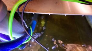 Что выгоднее и проще аквапоника или гидропоника?